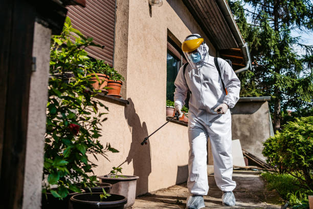 Best Spider Control Near Me  in Weatherford, TX