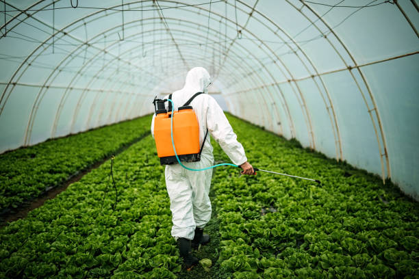 Professional Pest Control in Weatherford, TX