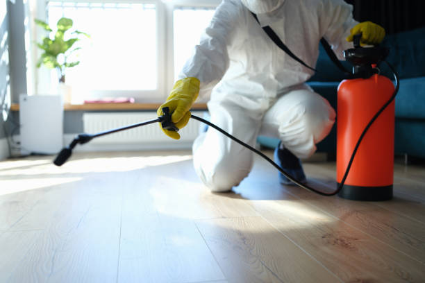 Flea Control Services in Weatherford, TX