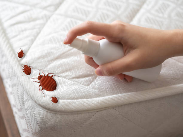 Best Best Pest Control Companies  in Weatherford, TX