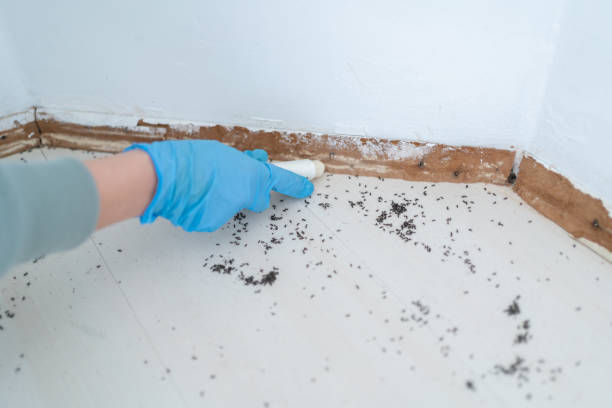 Pest Control Cost in Weatherford, TX