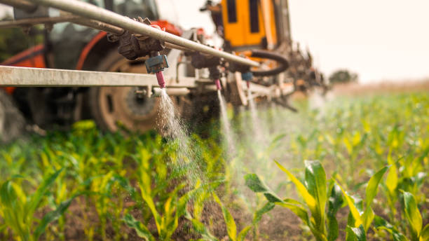 Best Pest Prevention Services  in Weatherford, TX