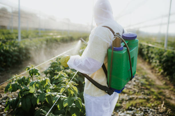 Best Pest Control Cost  in Weatherford, TX